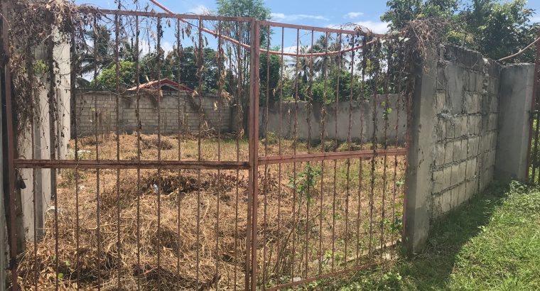 LOT FOR SALE IN A QUIET DEVELOPMENT IN BACONG