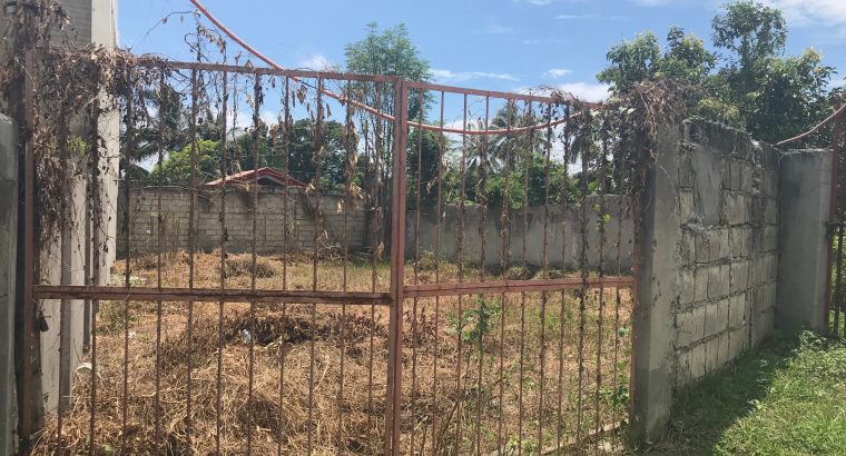 LOT FOR SALE IN A QUIET DEVELOPMENT IN BACONG