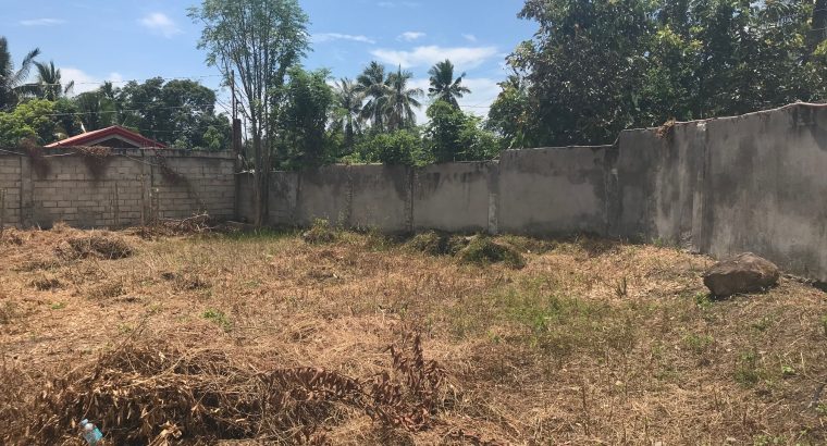 LOT FOR SALE IN A QUIET DEVELOPMENT IN BACONG