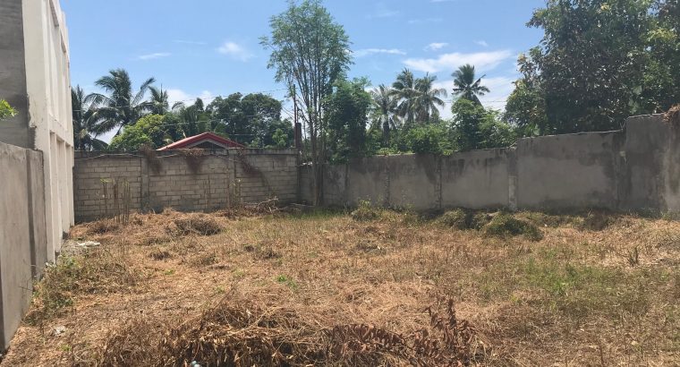 LOT FOR SALE IN A QUIET DEVELOPMENT IN BACONG