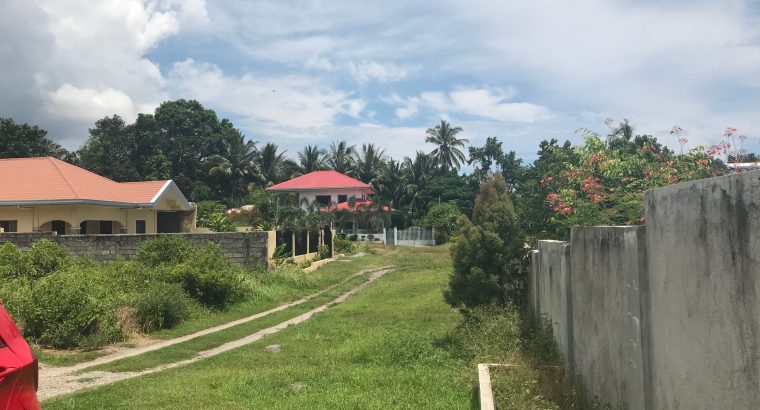 LOT FOR SALE IN A QUIET DEVELOPMENT IN BACONG