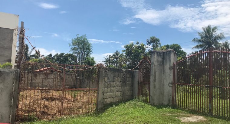 LOT FOR SALE IN A QUIET DEVELOPMENT IN BACONG