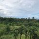Lot For Sale in Dauin