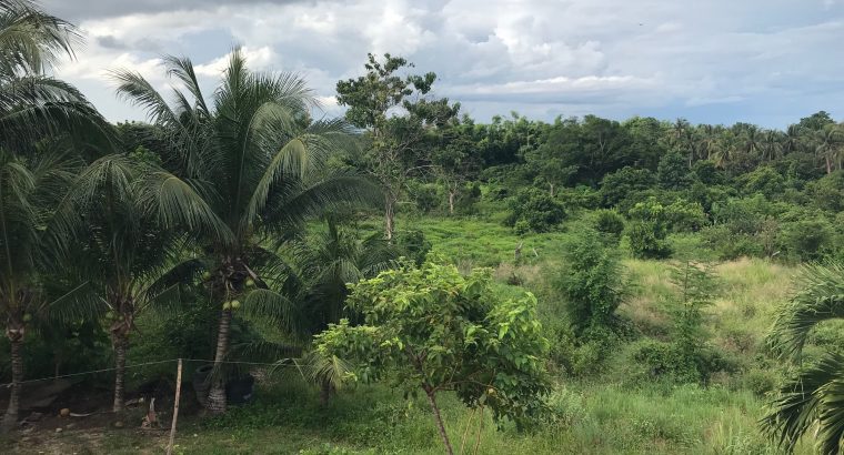 Lot For Sale in Dauin