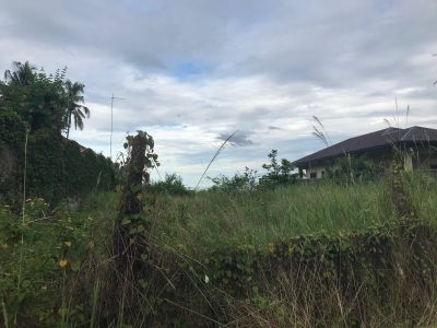 BEACH LOT FOR SALE IN SIBULAN