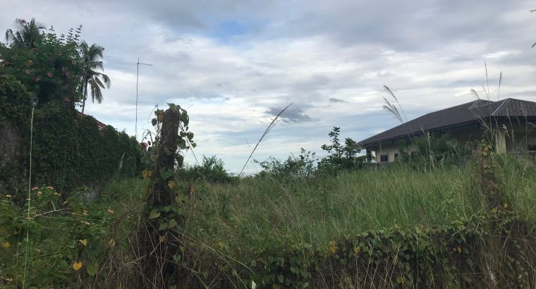 BEACH LOT FOR SALE IN SIBULAN