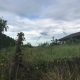 BEACH LOT FOR SALE IN SIBULAN