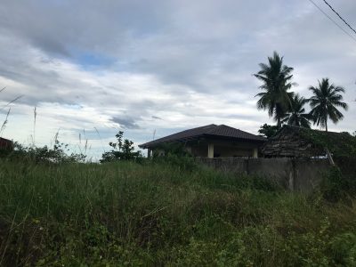 BEACH LOT FOR SALE IN SIBULAN