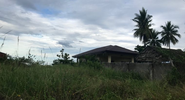 BEACH LOT FOR SALE IN SIBULAN