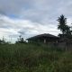 BEACH LOT FOR SALE IN SIBULAN