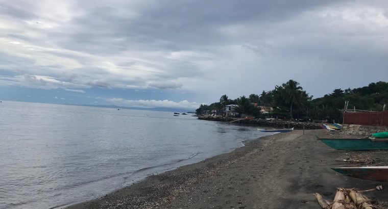 BEACH LOT FOR SALE IN SIBULAN