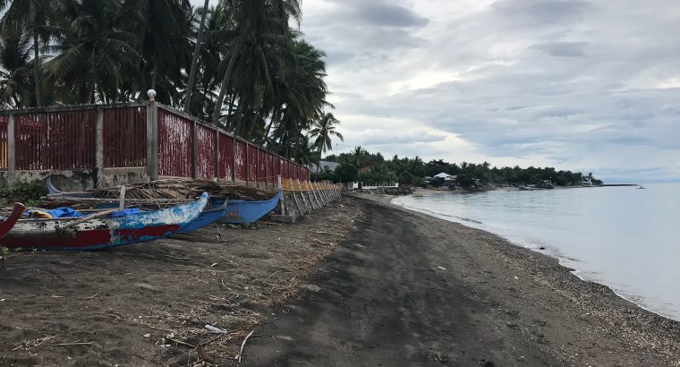 BEACH LOT FOR SALE IN SIBULAN