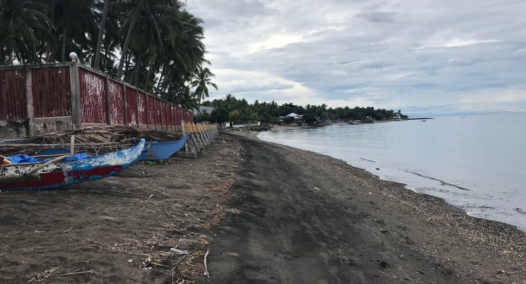 BEACH LOT FOR SALE IN SIBULAN