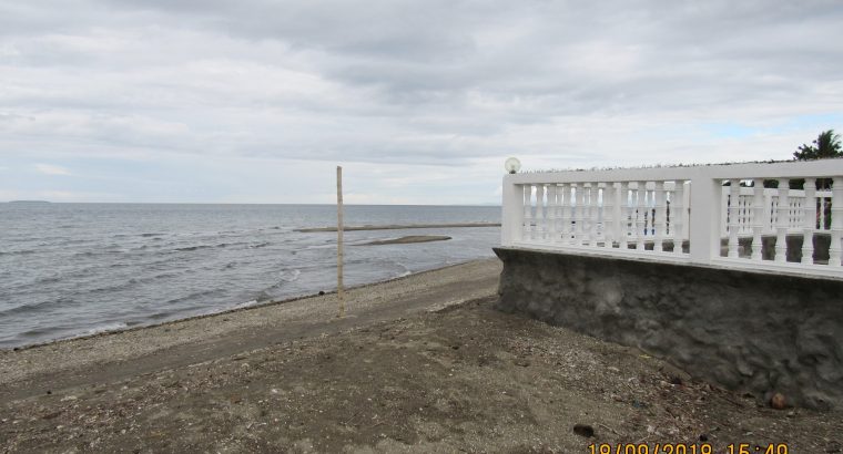 BEACH LOT FOR SALE IN SIBULAN