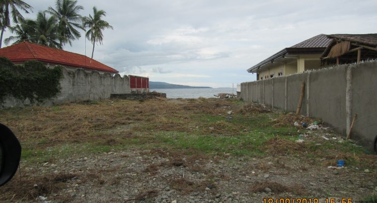 BEACH LOT FOR SALE IN SIBULAN