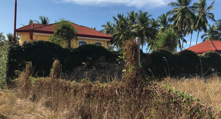 BEACH LOT FOR SALE IN SIBULAN