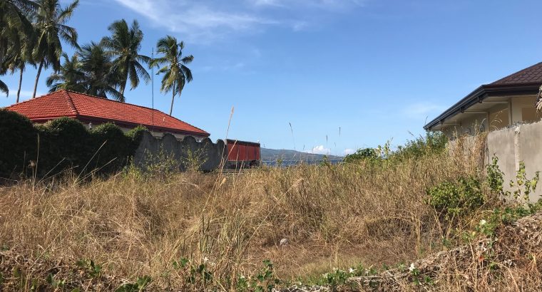 BEACH LOT FOR SALE IN SIBULAN