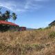 BEACH LOT FOR SALE IN SIBULAN