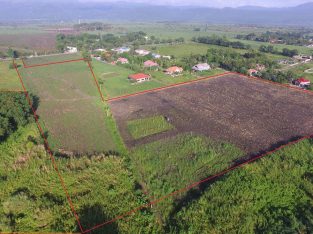 LOT FOR SALE ALONG THE NATIONAL HIGHWAY