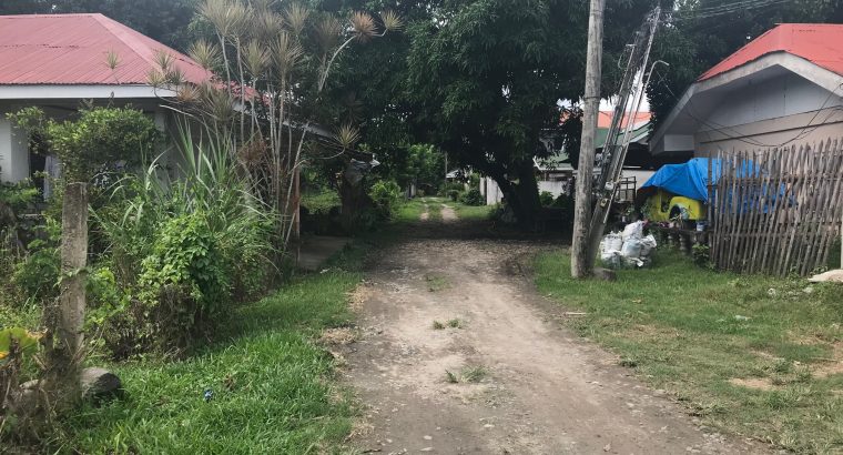 HOUSE AND LOT FOR SALE IN SIBULAN