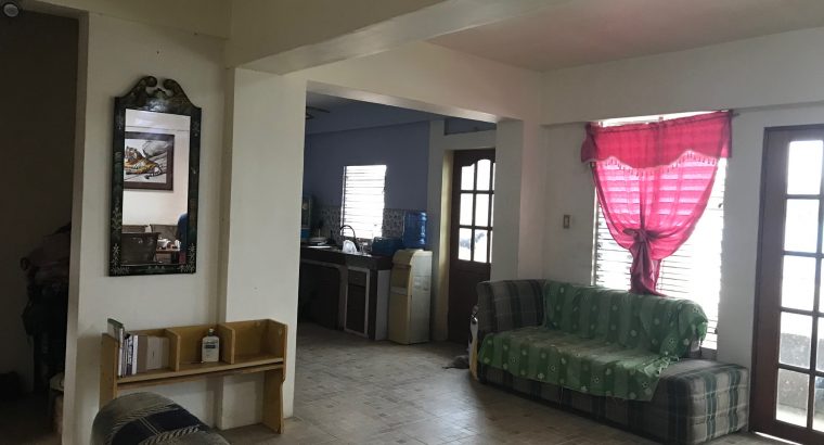 DUMAGUETE HOUSE AND LOT FOR SALE