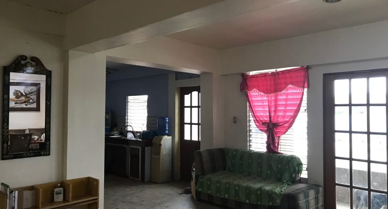 DUMAGUETE HOUSE AND LOT FOR SALE