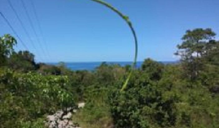 OCEAN VIEW LOT FOR SALE SAN JUAN SIQUIJOR