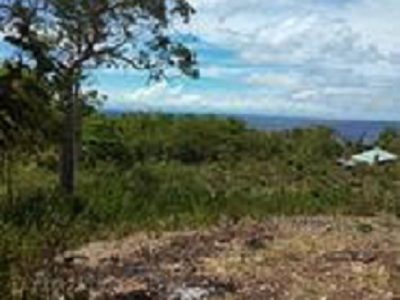 OCEAN VIEW LOT FOR SALE IN SAWANG, SAN JUAN SIQUIJOR