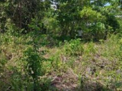 OCEAN VIEW LOT FOR SALE SAN JUAN SIQUIJOR