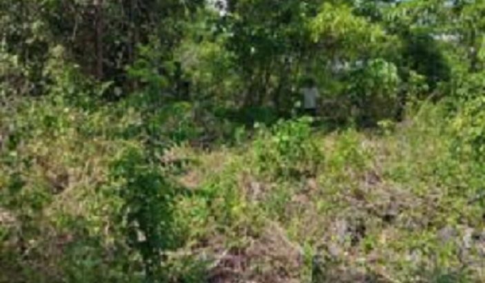 OCEAN VIEW LOT FOR SALE SAN JUAN SIQUIJOR