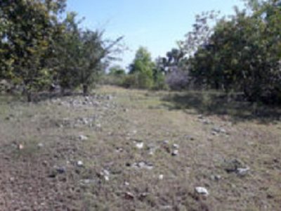 OCEAN VIEW LOT FOR SALE IN SIQUIJOR