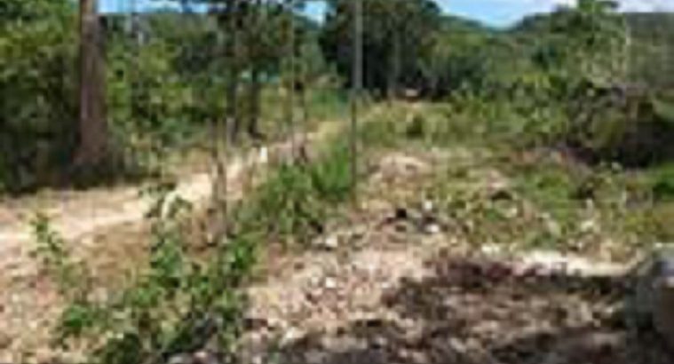 OCEAN VIEW LOT FOR SALE IN SAWANG, SAN JUAN SIQUIJOR