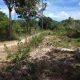 OCEAN VIEW LOT FOR SALE IN SAWANG, SAN JUAN SIQUIJOR