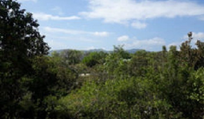 OCEAN VIEW LOT FOR SALE IN SIQUIJOR