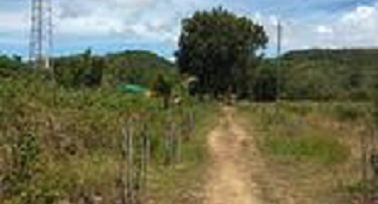 OCEAN VIEW LOT FOR SALE IN SAWANG, SAN JUAN SIQUIJOR