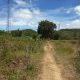 OCEAN VIEW LOT FOR SALE IN SAWANG, SAN JUAN SIQUIJOR