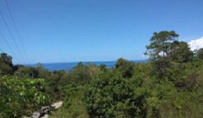 OCEAN VIEW LOT FOR SALE SAN JUAN SIQUIJOR