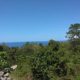 OCEAN VIEW LOT FOR SALE SAN JUAN SIQUIJOR