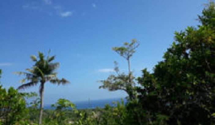 OCEAN VIEW LOT FOR SALE IN SIQUIJOR