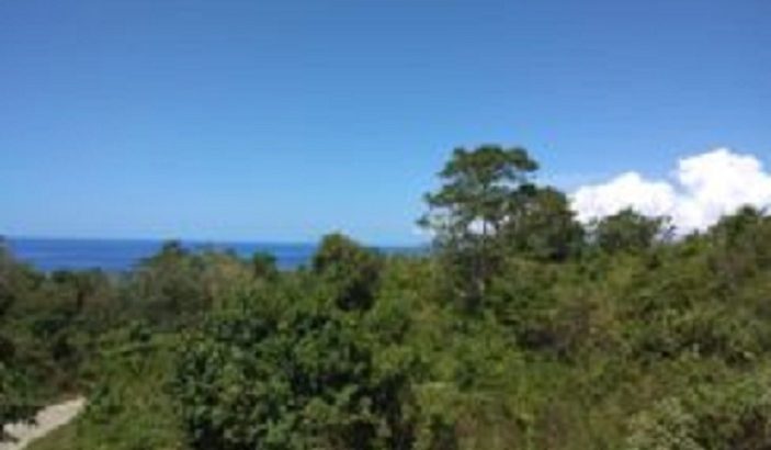 OCEAN VIEW LOT FOR SALE SAN JUAN SIQUIJOR