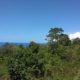 OCEAN VIEW LOT FOR SALE SAN JUAN SIQUIJOR