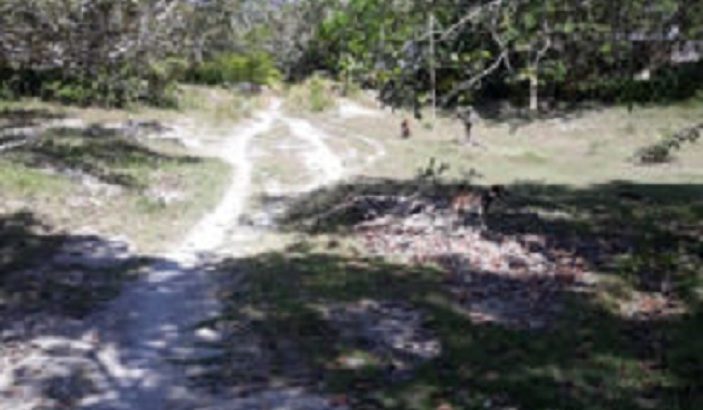 OCEAN VIEW LOT FOR SALE IN SIQUIJOR