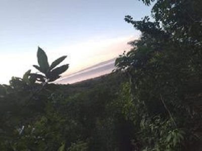 OCEAN VIEW LOT FOR SALE IN SIQUIJOR