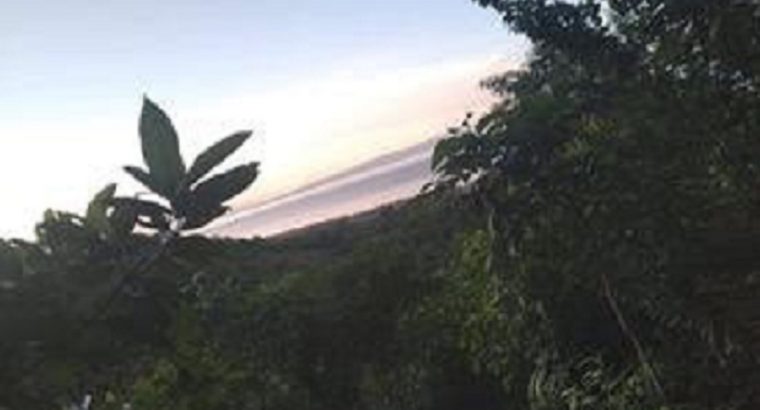 OCEAN VIEW LOT FOR SALE IN SIQUIJOR