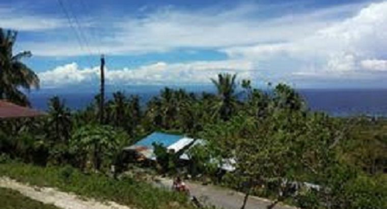 OCEAN VIEW LOT FOR SALE IN SIQUIJOR