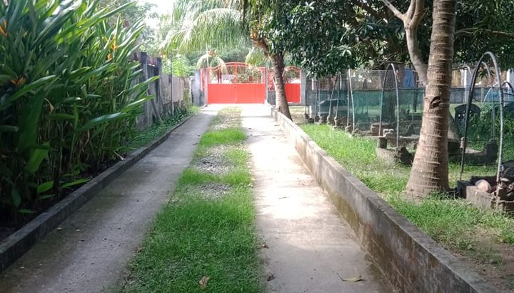 LOT FOR SALE WITH HOUSE ALONG NATIONAL HIGHWAY