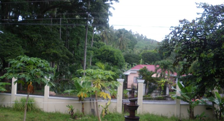 BEACH HOUSE FOR SALE IN NEGROS ORIENTAL