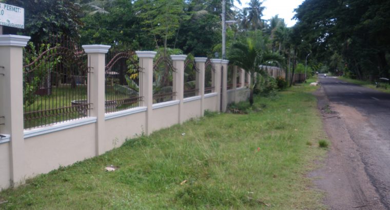 BEACH HOUSE FOR SALE IN NEGROS ORIENTAL