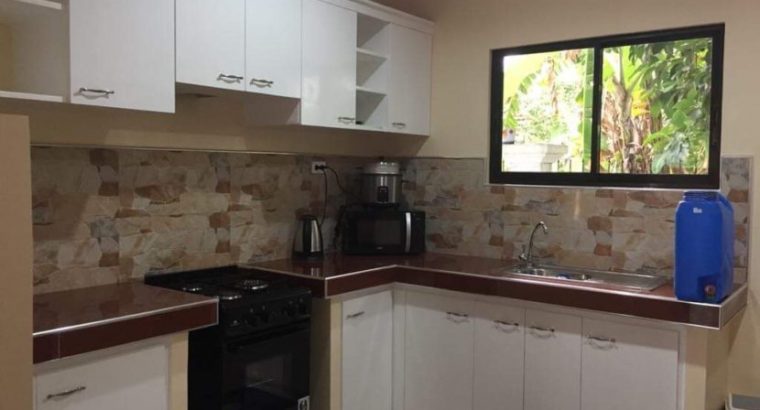 APARTMENT FOR SALE IN DUMAGUETE CITY