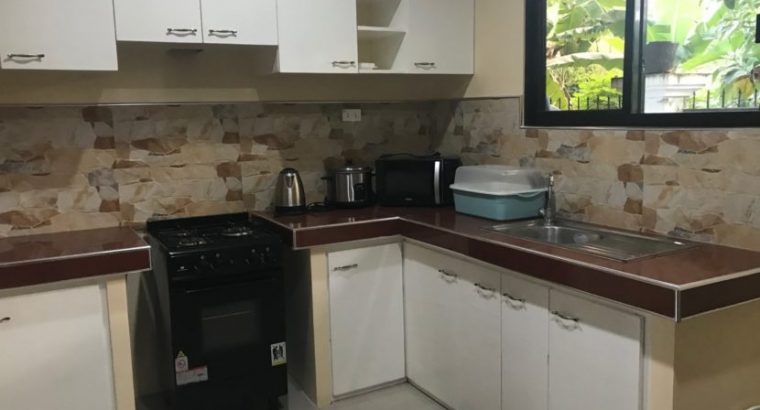 APARTMENT FOR SALE IN DUMAGUETE CITY